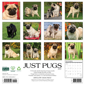 Willow Creek Press - 2027 Pugs Calendar