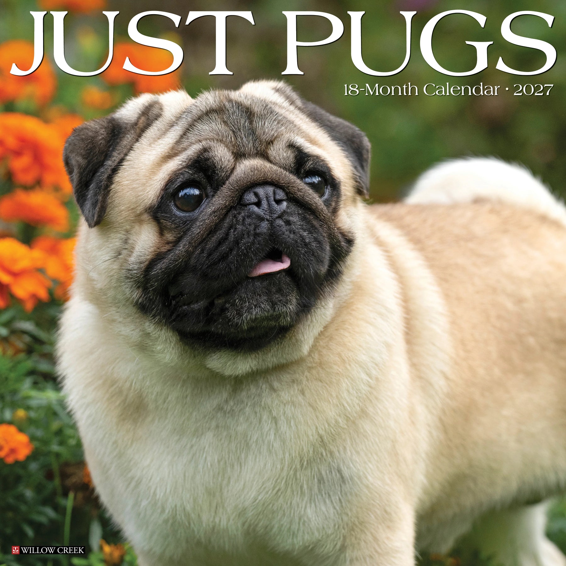 Willow Creek Press - 2027 Pugs Calendar