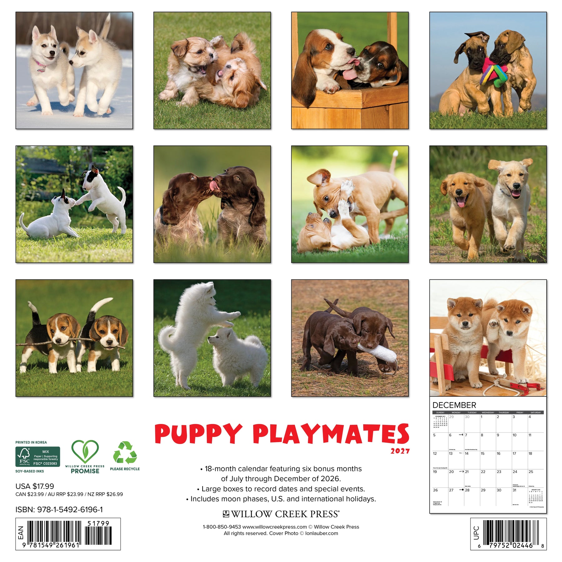Willow Creek Press - 2027 Puppy Playmates Calendar