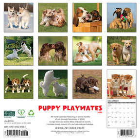 Willow Creek Press - 2027 Puppy Playmates Calendar