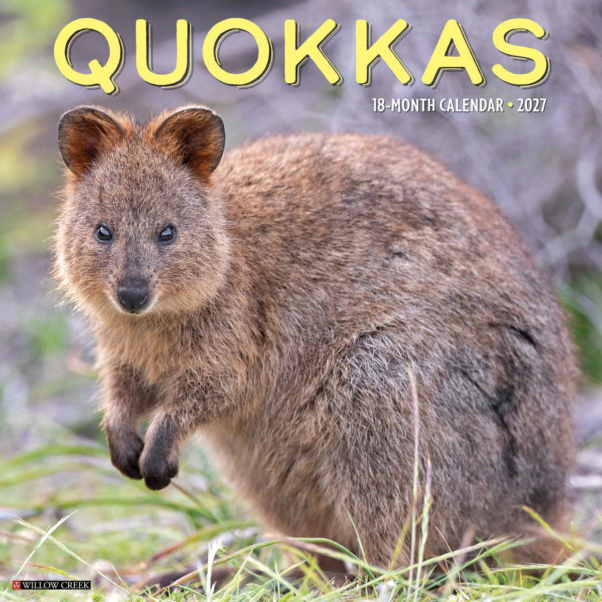 Willow Creek Press - 2027 Quokkas Calendar