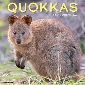 Willow Creek Press - 2027 Quokkas Calendar