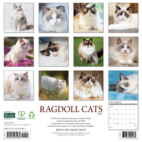 Willow Creek Press - 2027 Maine Coon Cats Calendar
