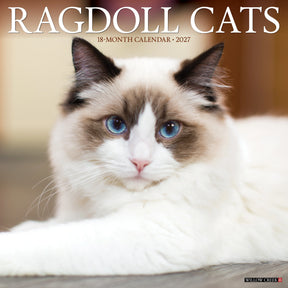 Willow Creek Press - 2027 Maine Coon Cats Calendar