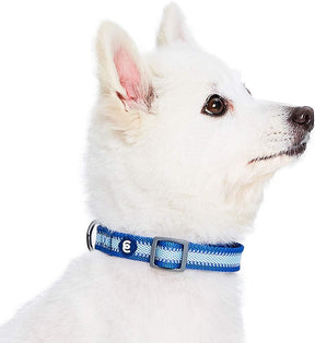 Blueberry Pet - Navy | Back to Basics Reflective Dog Collar