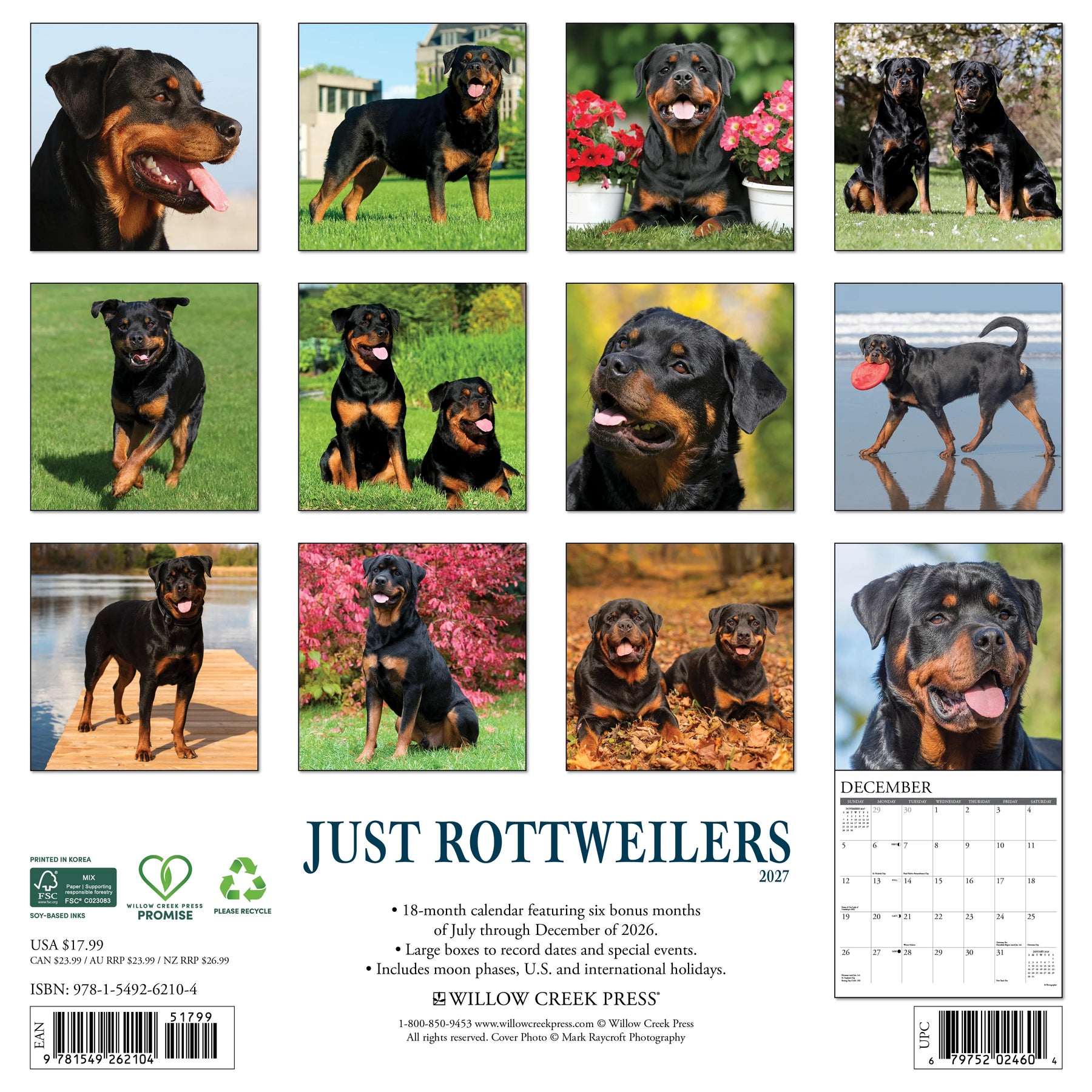 Willow Creek Press - 2027 Rottweilers Calendar