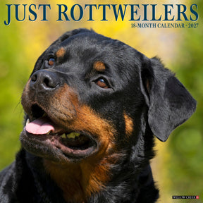 Willow Creek Press - 2027 Rottweilers Calendar