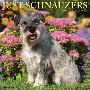 Willow Creek Press - 2027 Schnauzers Calendar