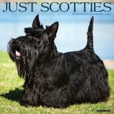 Willow Creek Press - 2027 Scotties Calendar