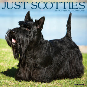 Willow Creek Press - 2027 Scotties Calendar