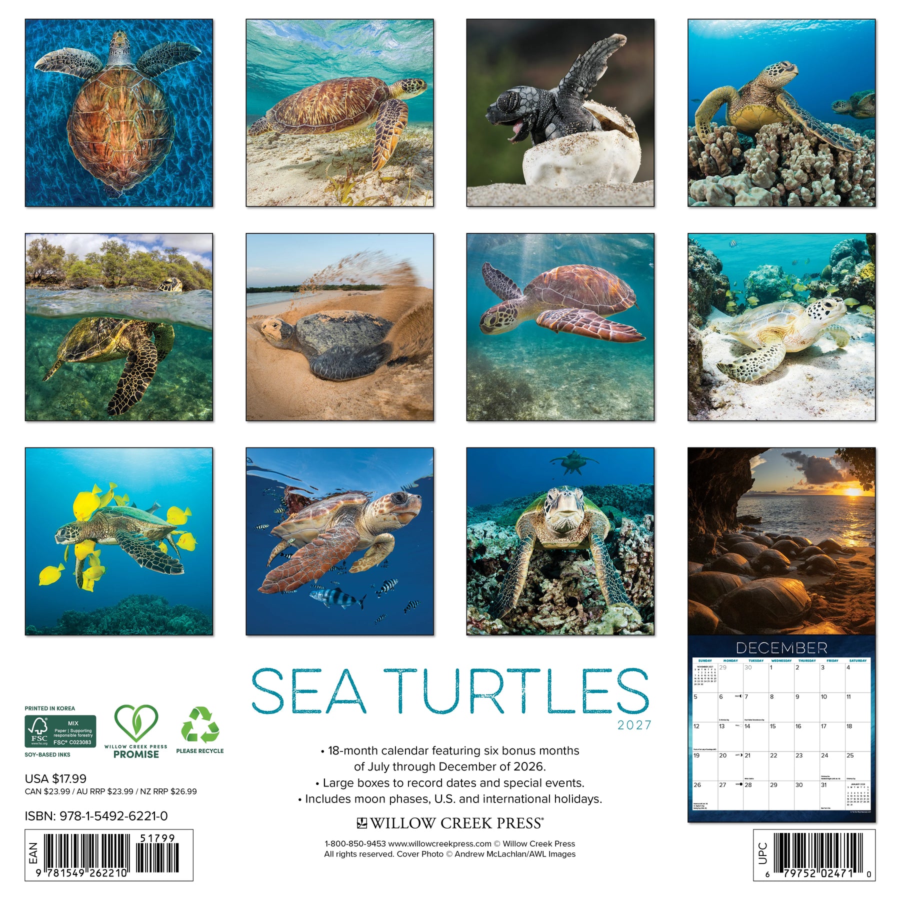 Willow Creek Press - 2027 Octopus Calendar