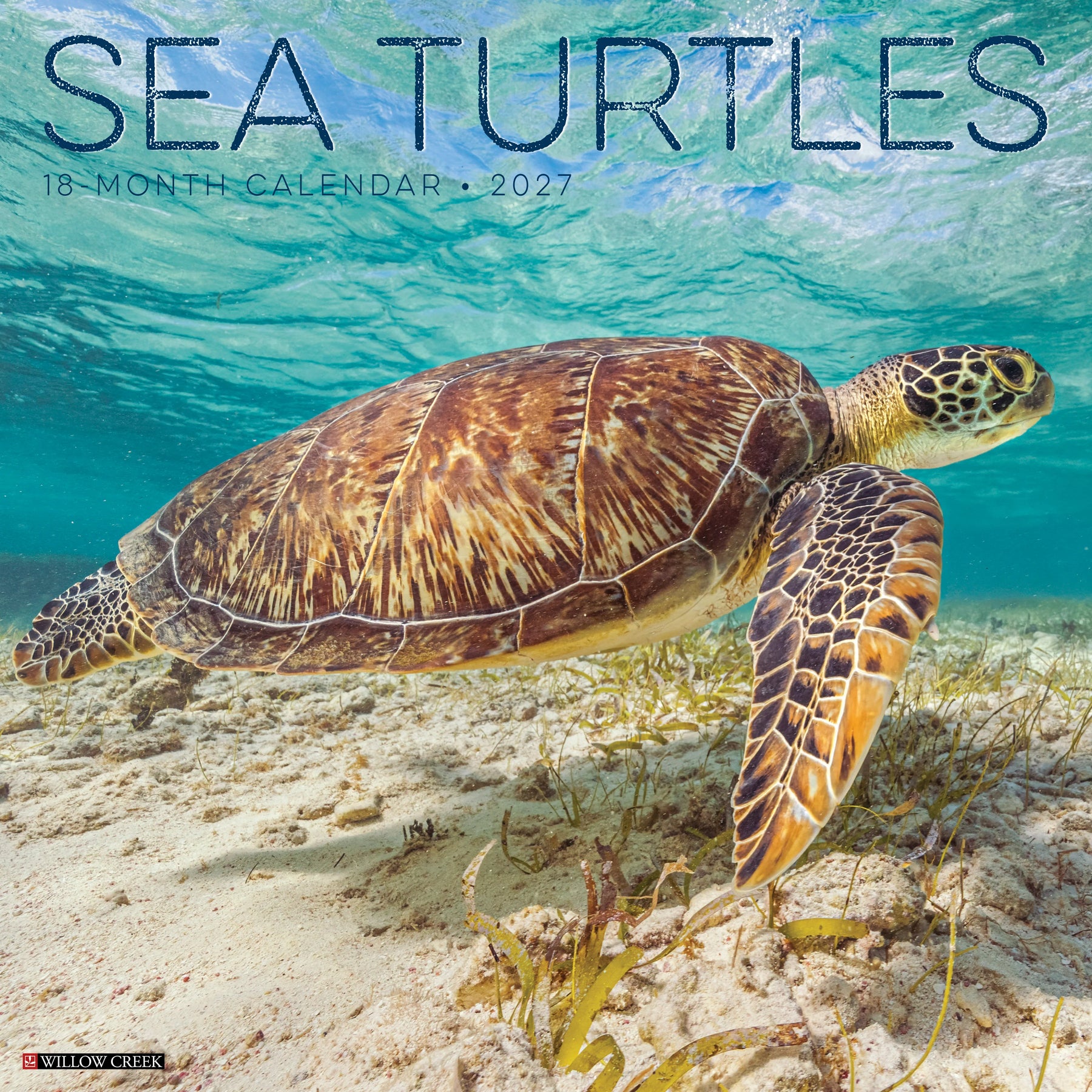 Willow Creek Press - 2027 Sea Turtles Calendar
