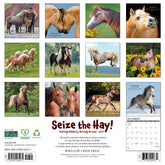 Willow Creek Press - 2027 Seize The Hay Calendar
