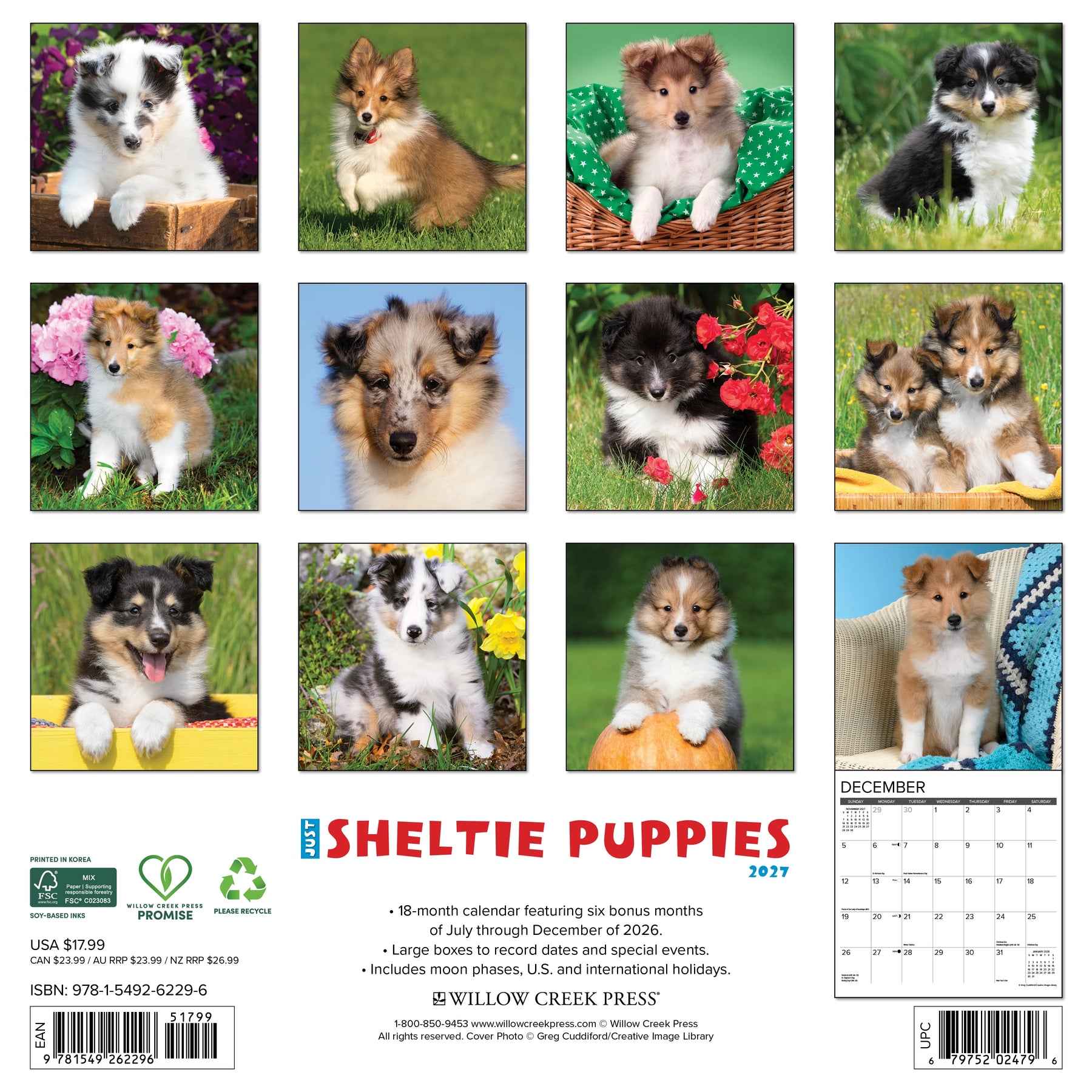 Willow Creek Press - 2027 Sheltie Puppies Calendar