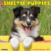 Willow Creek Press - 2027 Sheltie Puppies Calendar