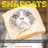 Willow Creek Press - 2027 Snapcats Calendar