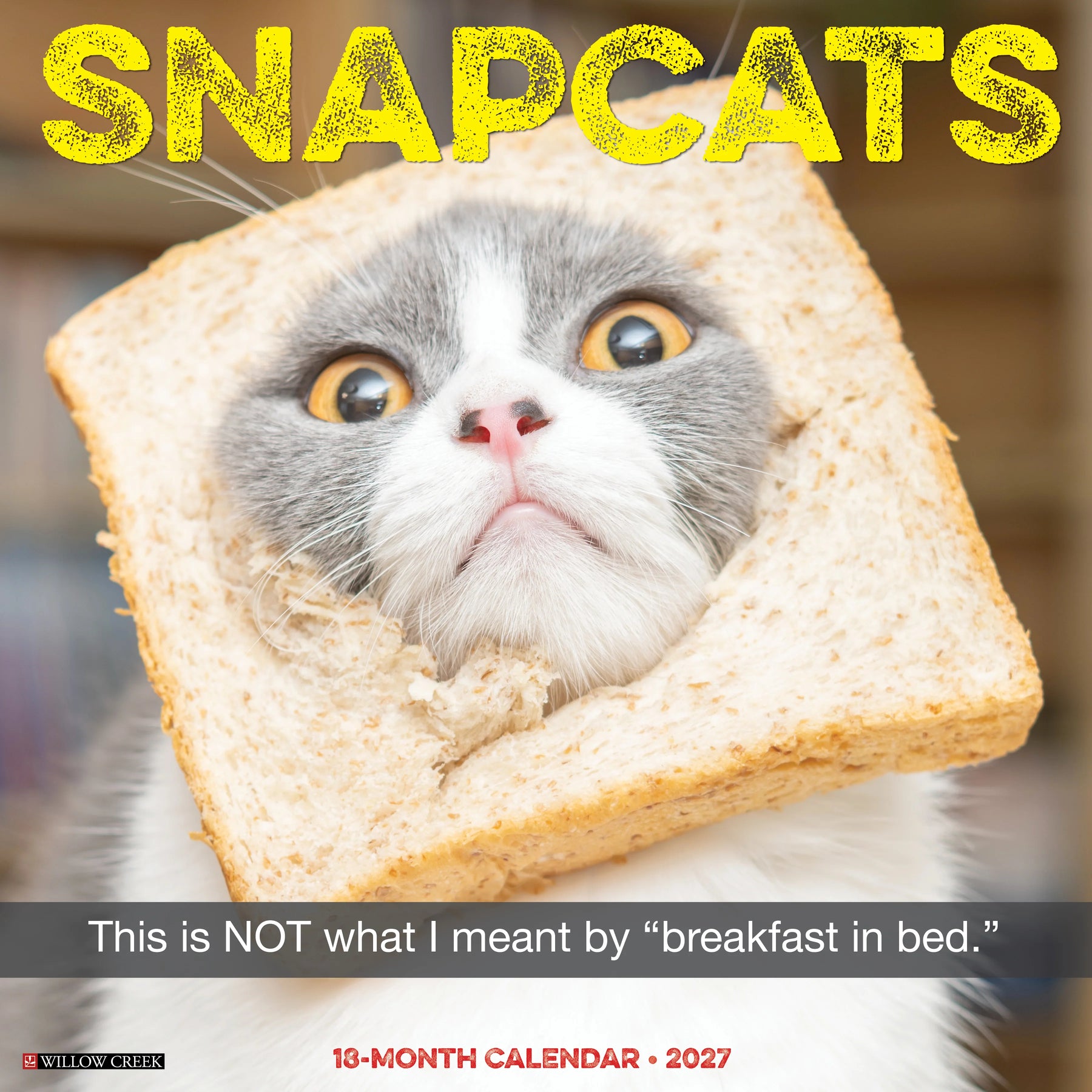 Willow Creek Press - 2027 Snapcats Calendar