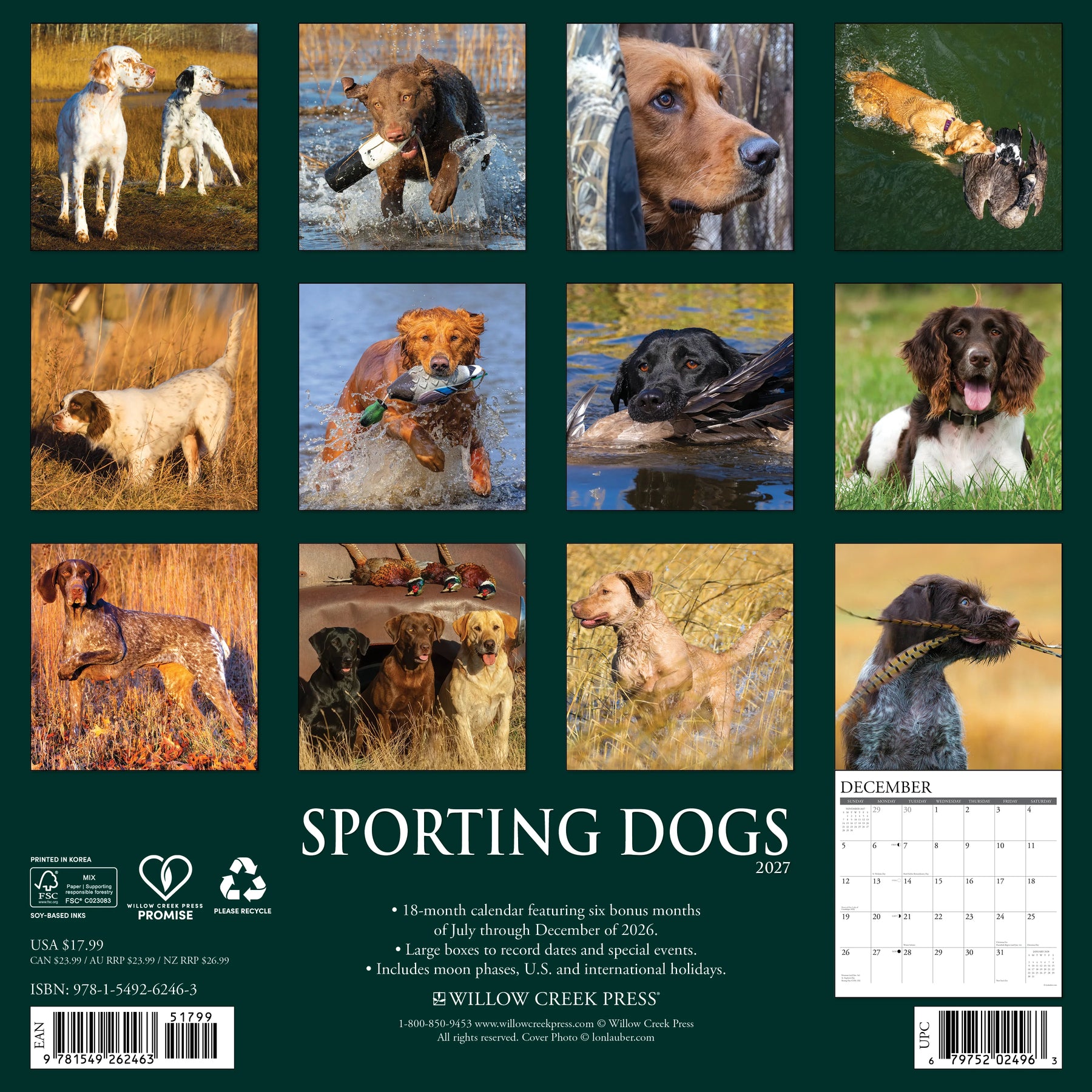 Willow Creek Press - 2027 Sporting Dogs Calendar