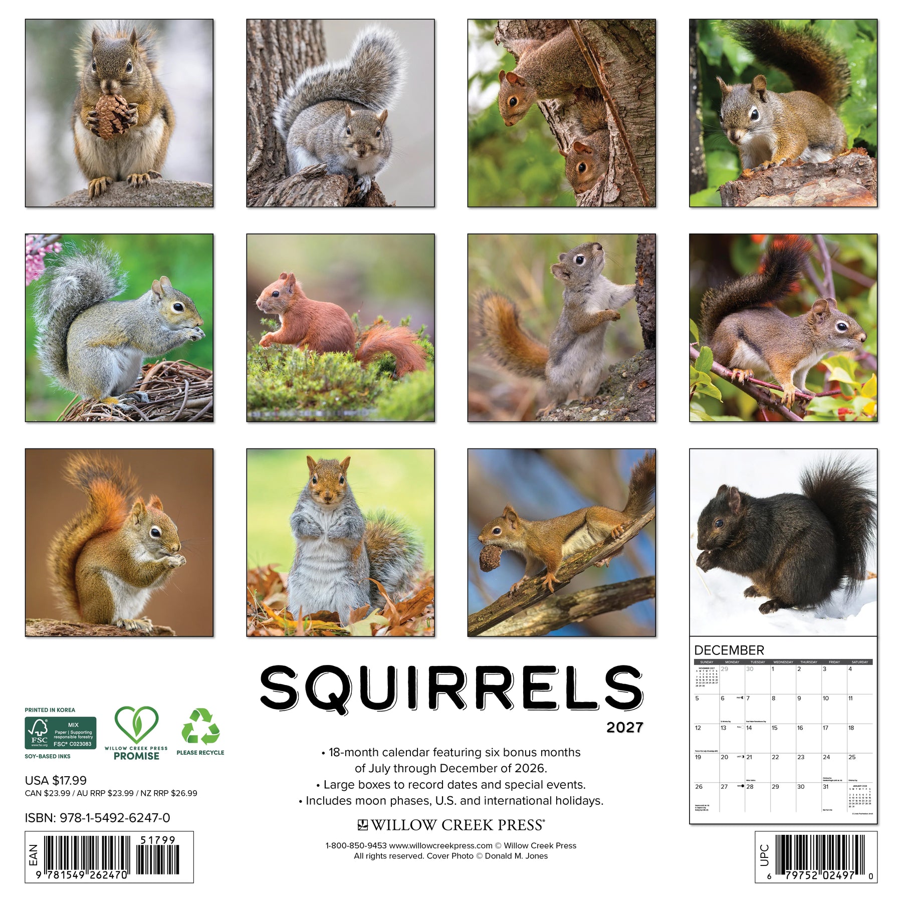 Willow Creek Press - 2027 Squirrels Calendar