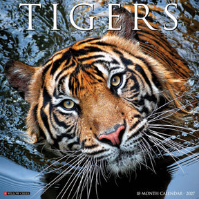 Willow Creek Press - 2027 Tigers Calendar