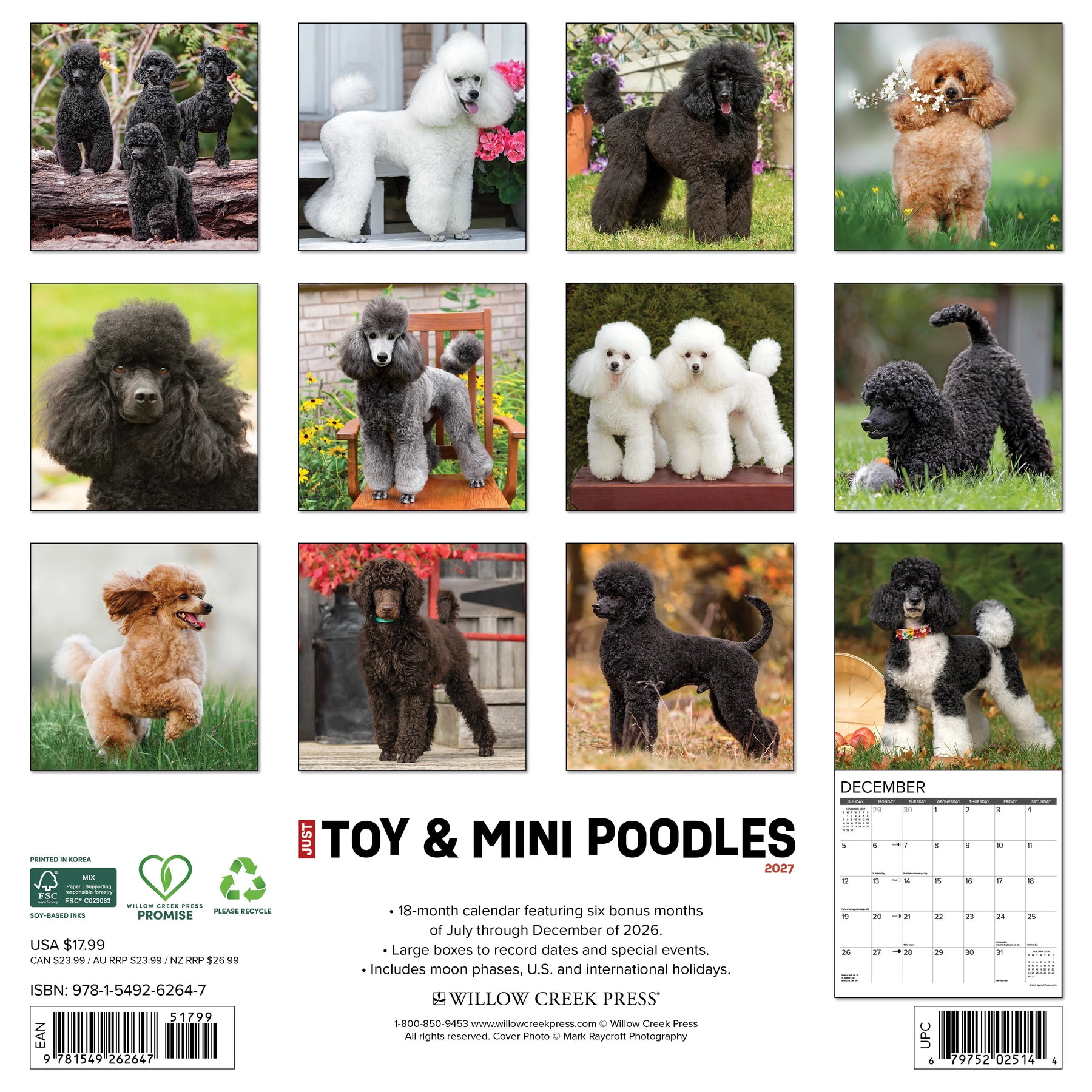Willow Creek Press - 2027 Toy & Miniature Poodles Calendar