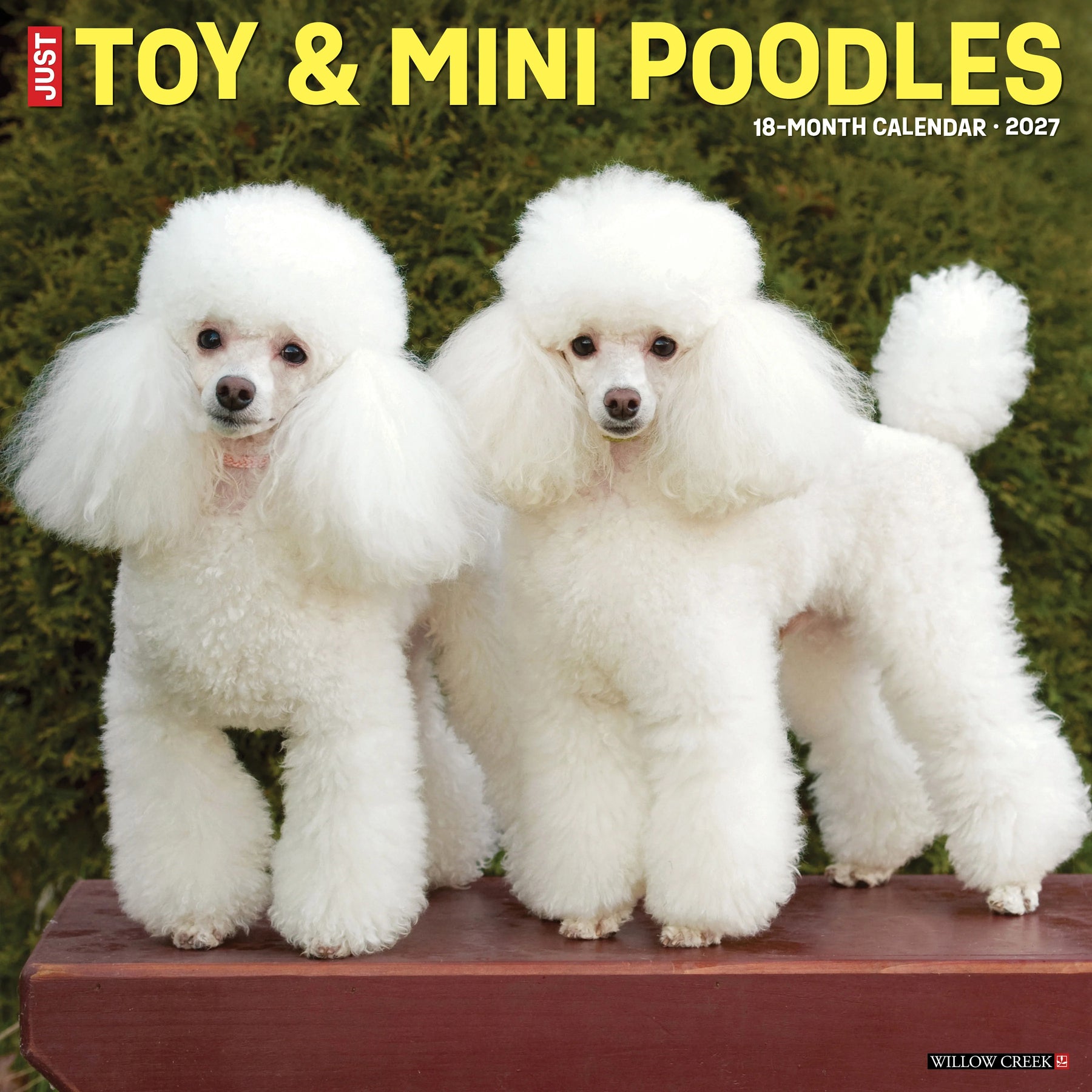Willow Creek Press - 2027 Toy & Miniature Poodles Calendar