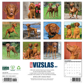Willow Creek Press - 2027 Vizslas Calendar
