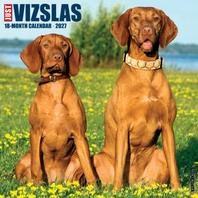 Willow Creek Press - 2027 Vizslas Calendar