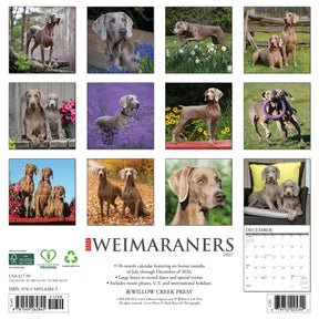 Willow Creek Press - 2027 Weimaraners Calendar