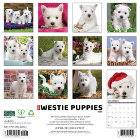 Willow Creek Press - 2027 Westie Puppies Calendar