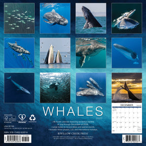Willow Creek Press - 2027 Whales Calendar