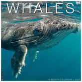Willow Creek Press - 2027 Whales Calendar
