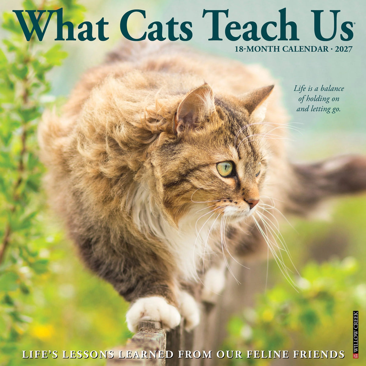 Willow Creek Press - 2027 What Cats Teach Us Calendar