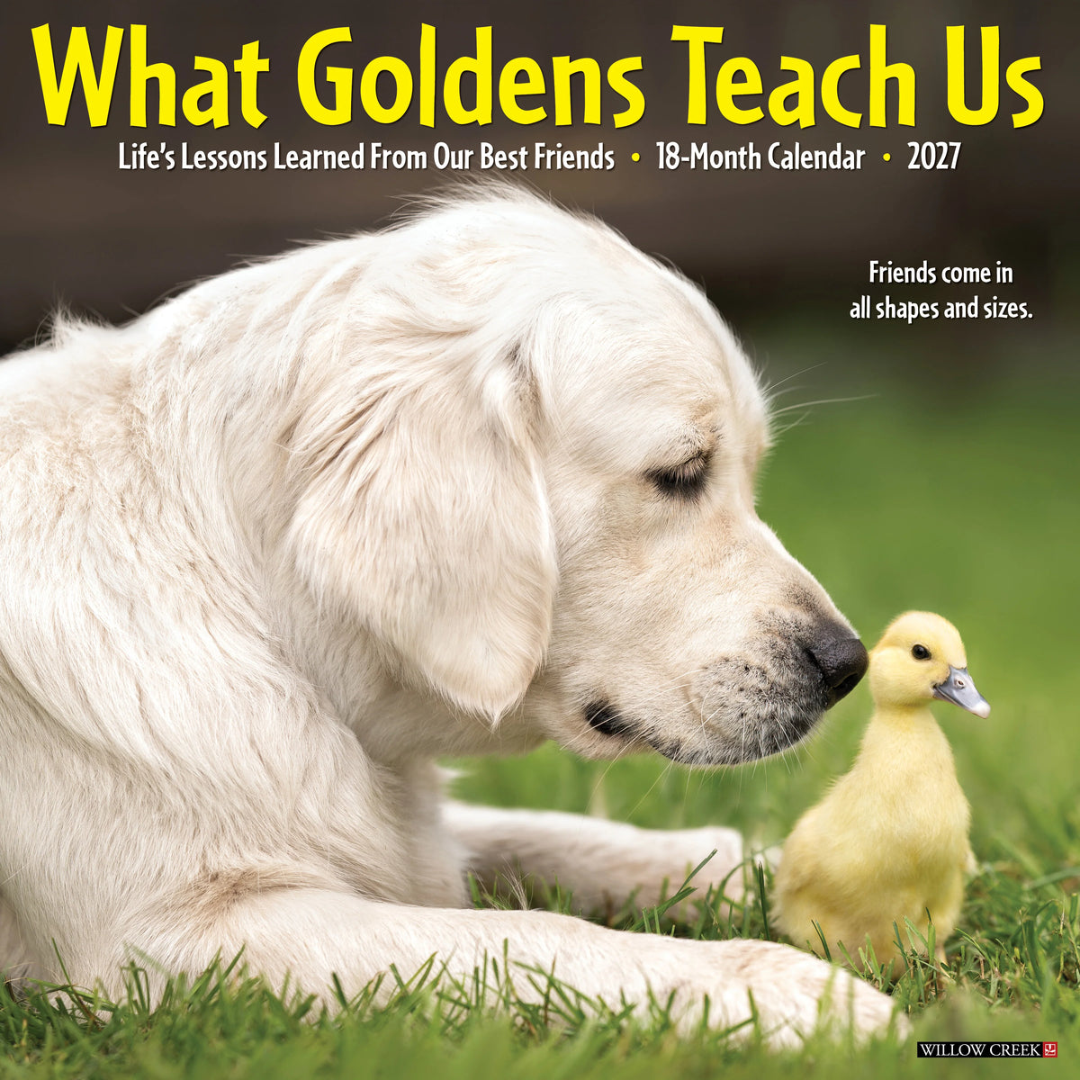 Willow Creek Press - 2027 What Goldens Teach Us Calendar