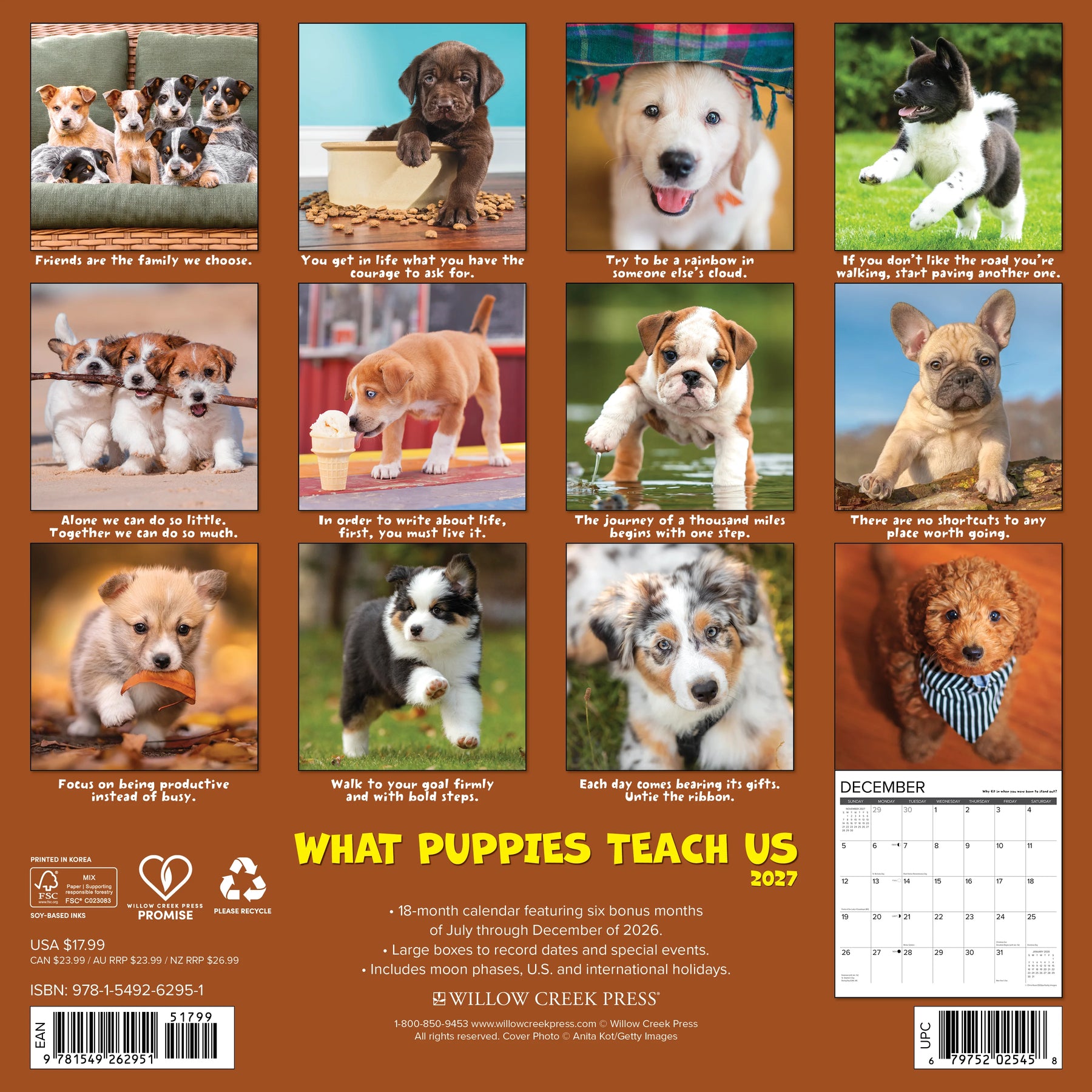 Willow Creek Press - 2027 What Puppies Teach Us Calendar