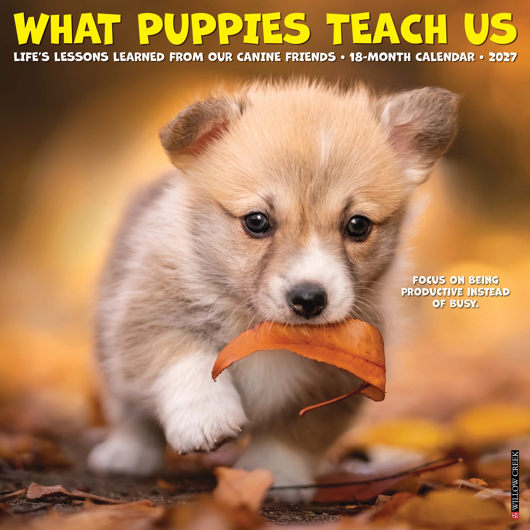 Willow Creek Press - 2027 What Puppies Teach Us Calendar