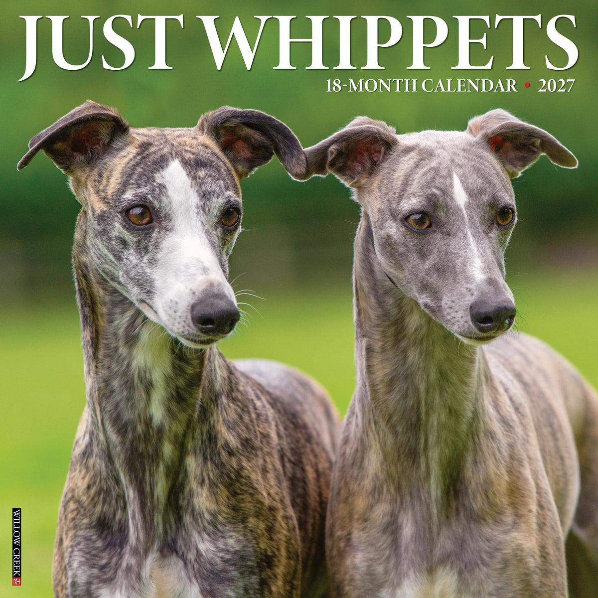 Willow Creek Press - 2027 Whippets Calendar