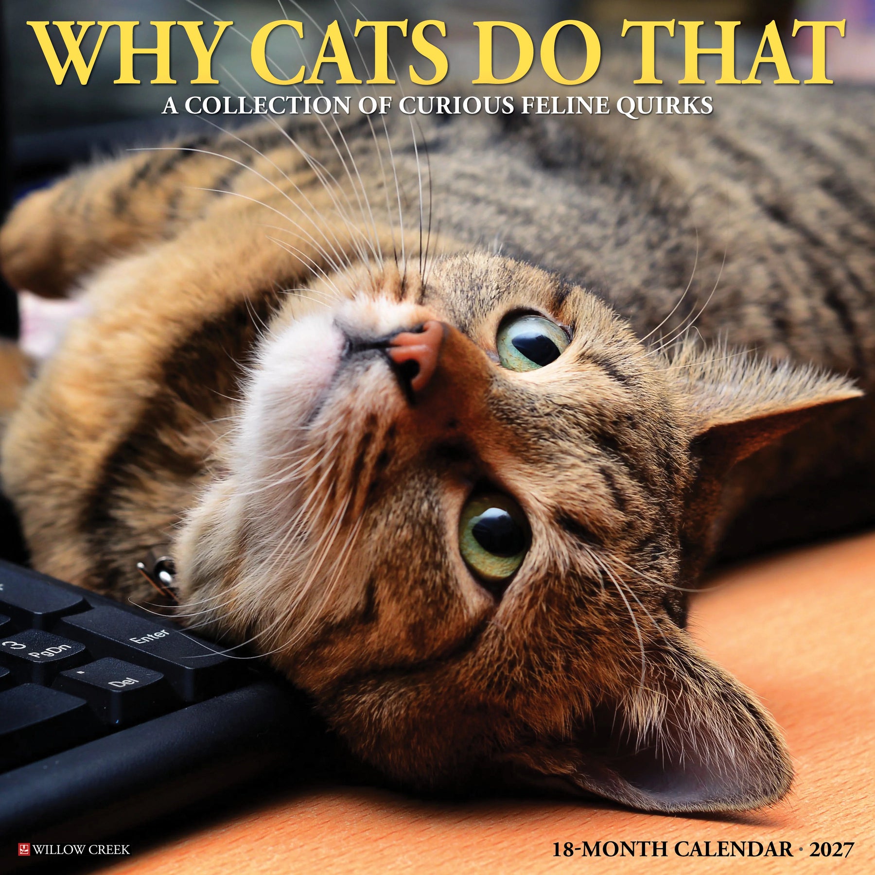 Willow Creek Press - 2027 Why Cats Do That Calendar