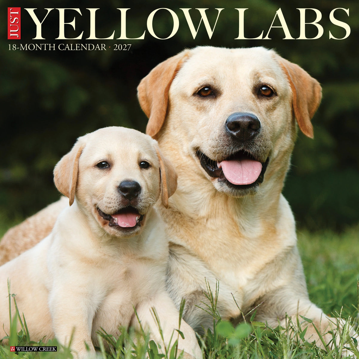 Willow Creek Press - 2027 Yellow Labs Calendar