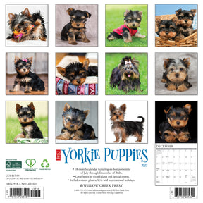 Willow Creek Press - 2027 Yorkie Puppies Calendar