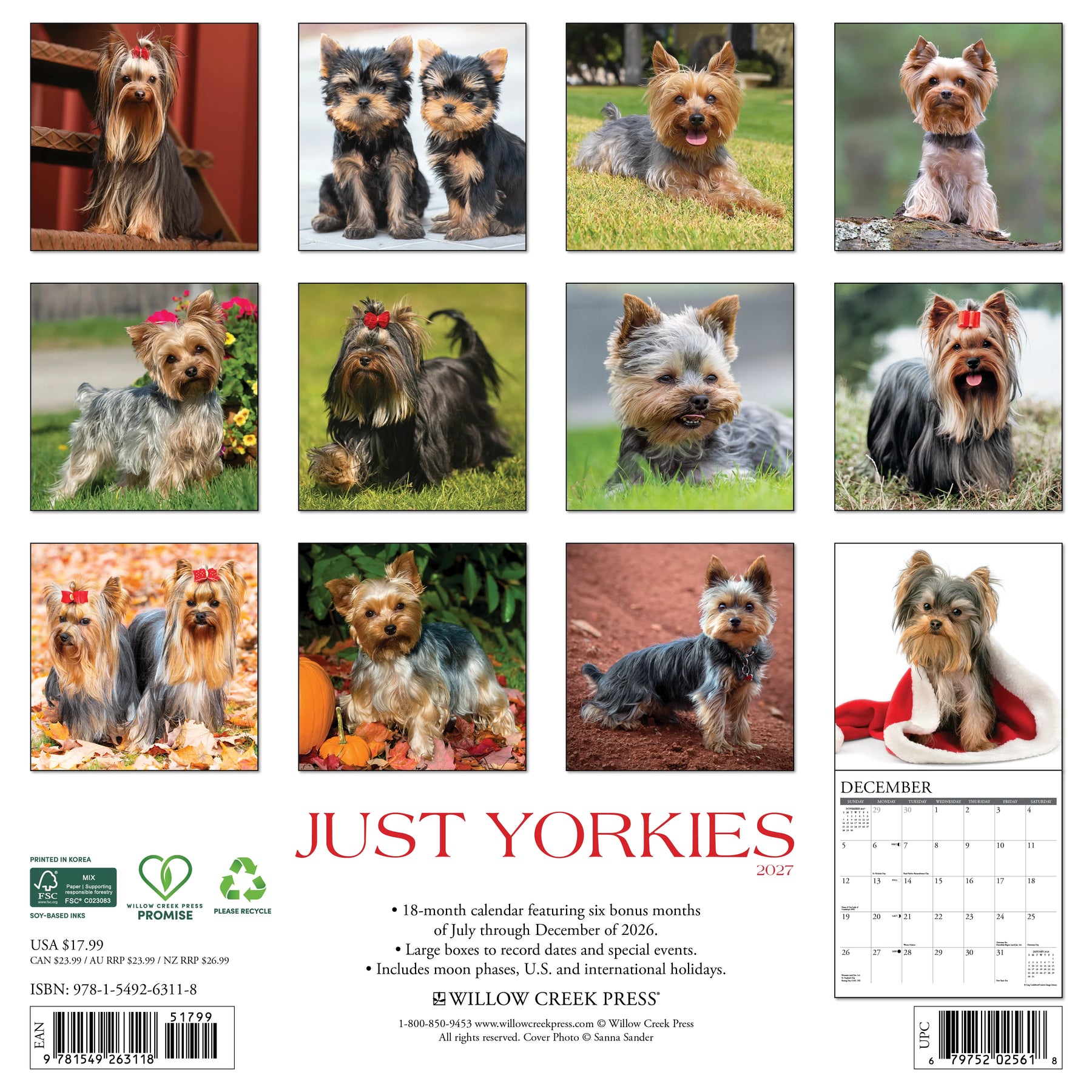 Willow Creek Press - 2027 Yorkies Calendar
