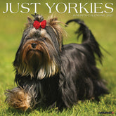 Willow Creek Press - 2027 Yorkies Calendar