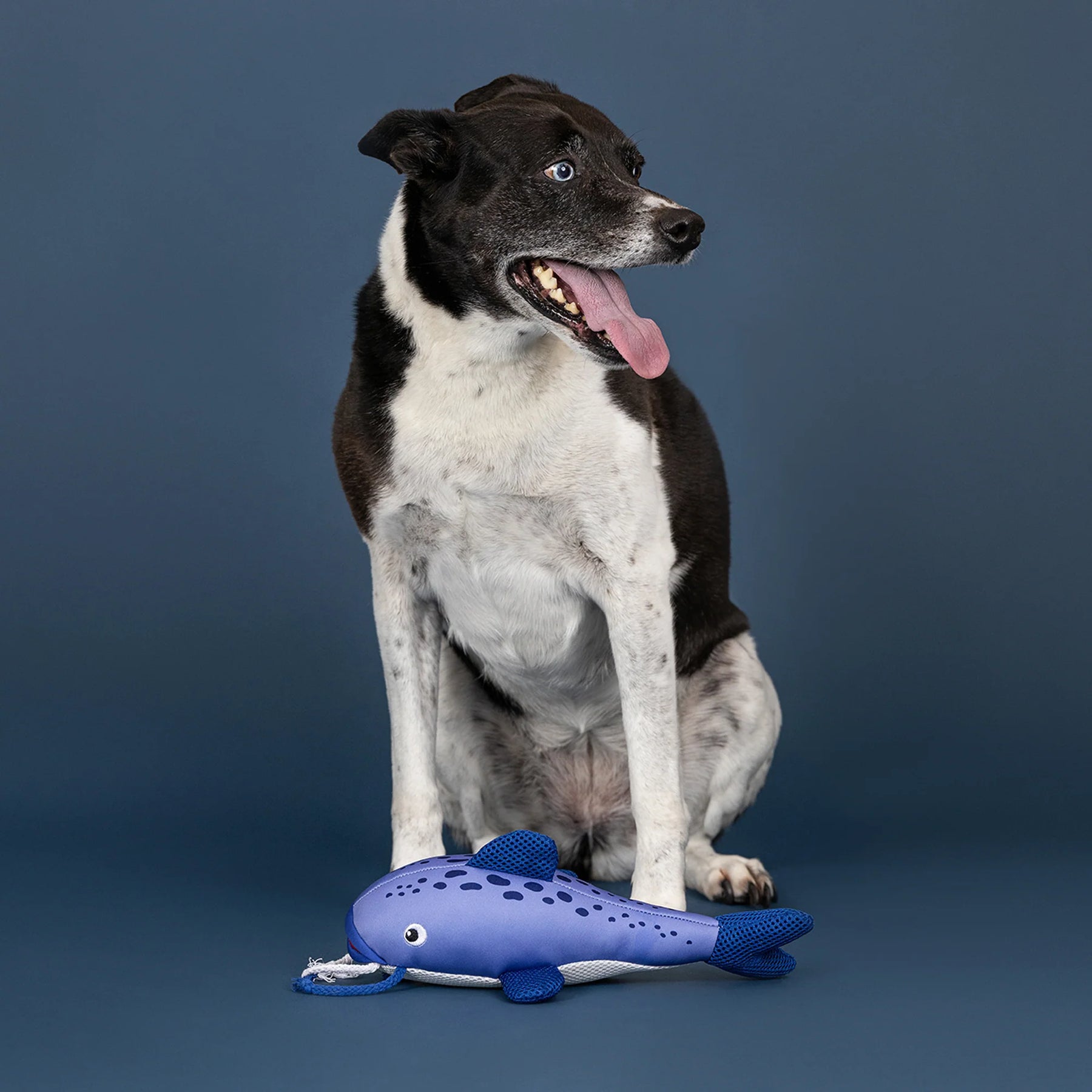 Petshop by Fringe Studio - Dog Toy The Real Deal