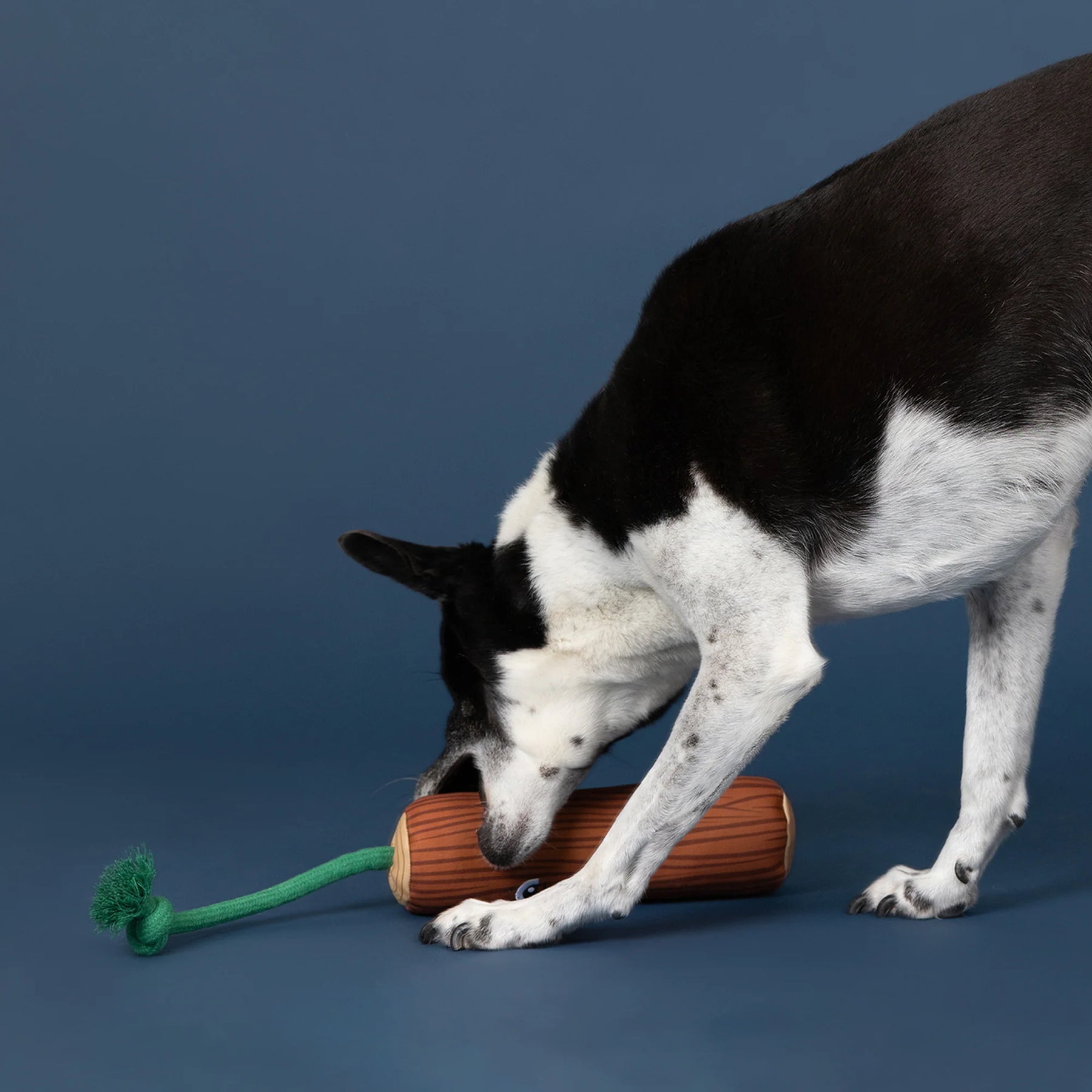 Petshop by Fringe Studio - Dog Toy Go Fetch Floating