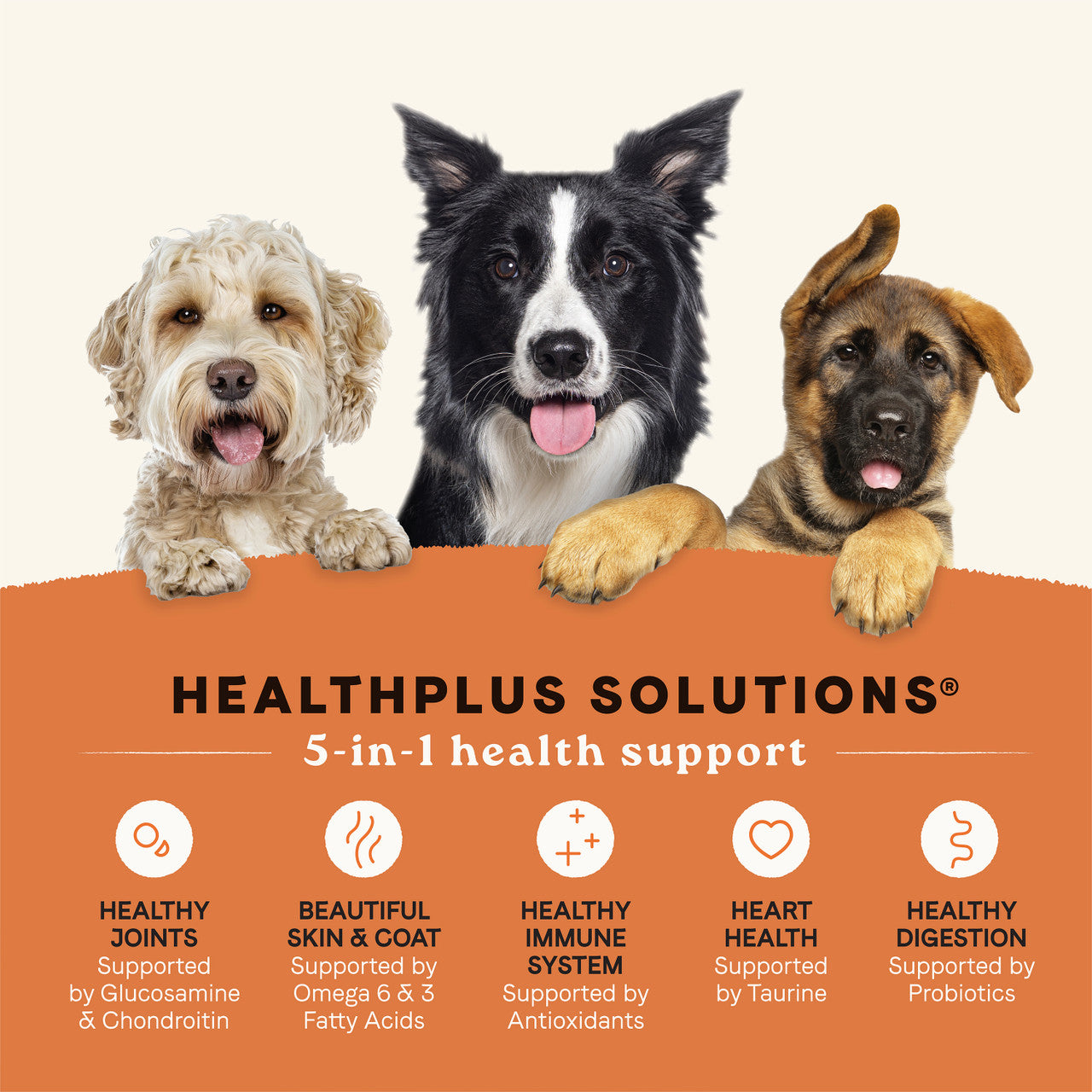 Canidae -  All Life Stages Salmon & Ancient Grains Dry Dog Food - Southern Agriculture 