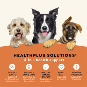 Canidae -  All Life Stages Chicken & Potato Dry Dog Food