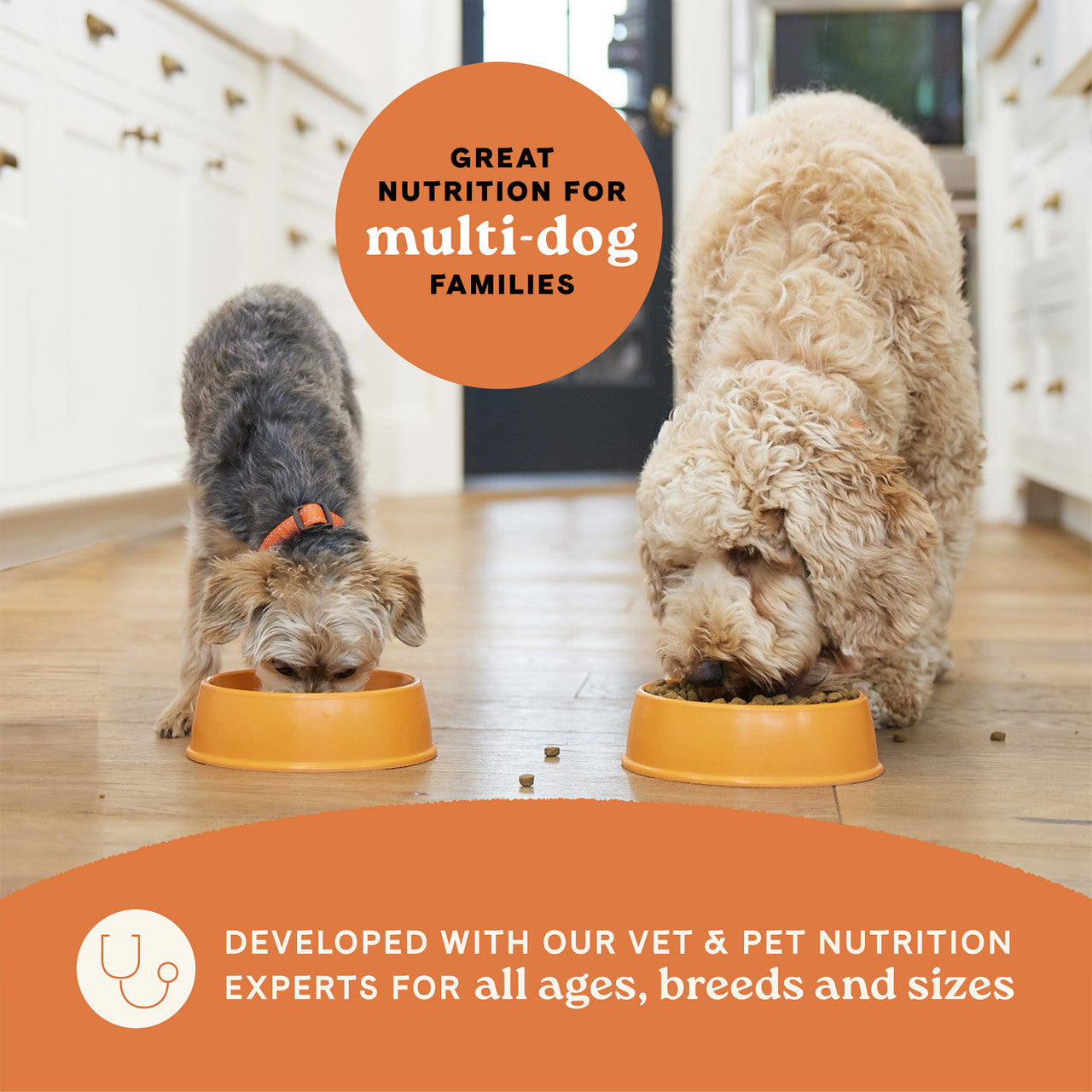 Canidae -  All Life Stages Chicken & Potato Dry Dog Food