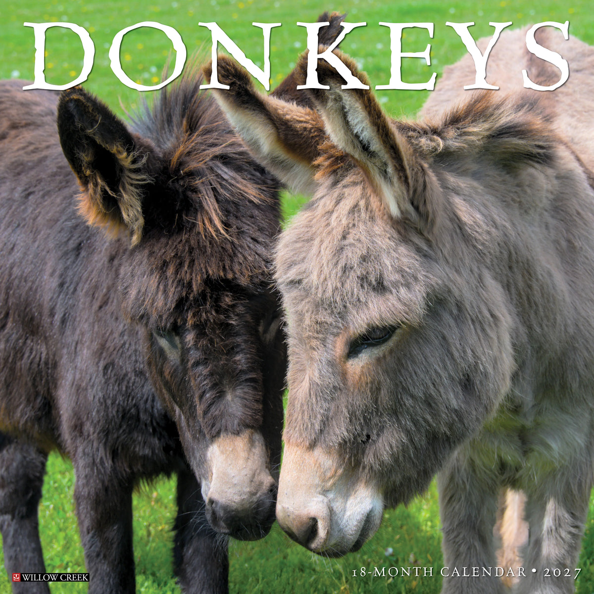 Willow Creek Press - 2027 Donkeys Calendar