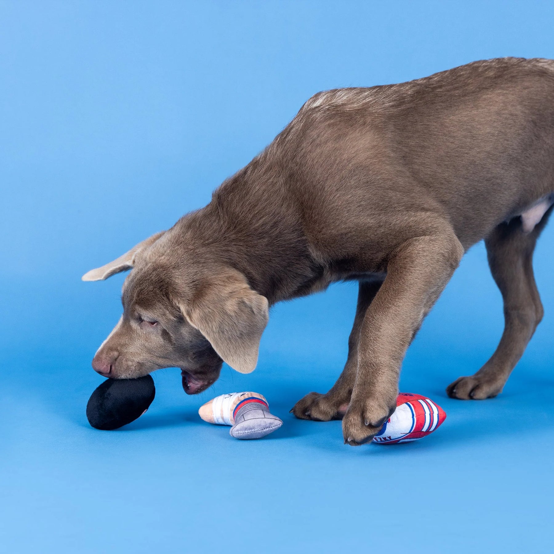 Petshop by Fringe Studio - Dog Toy Go For The Goal