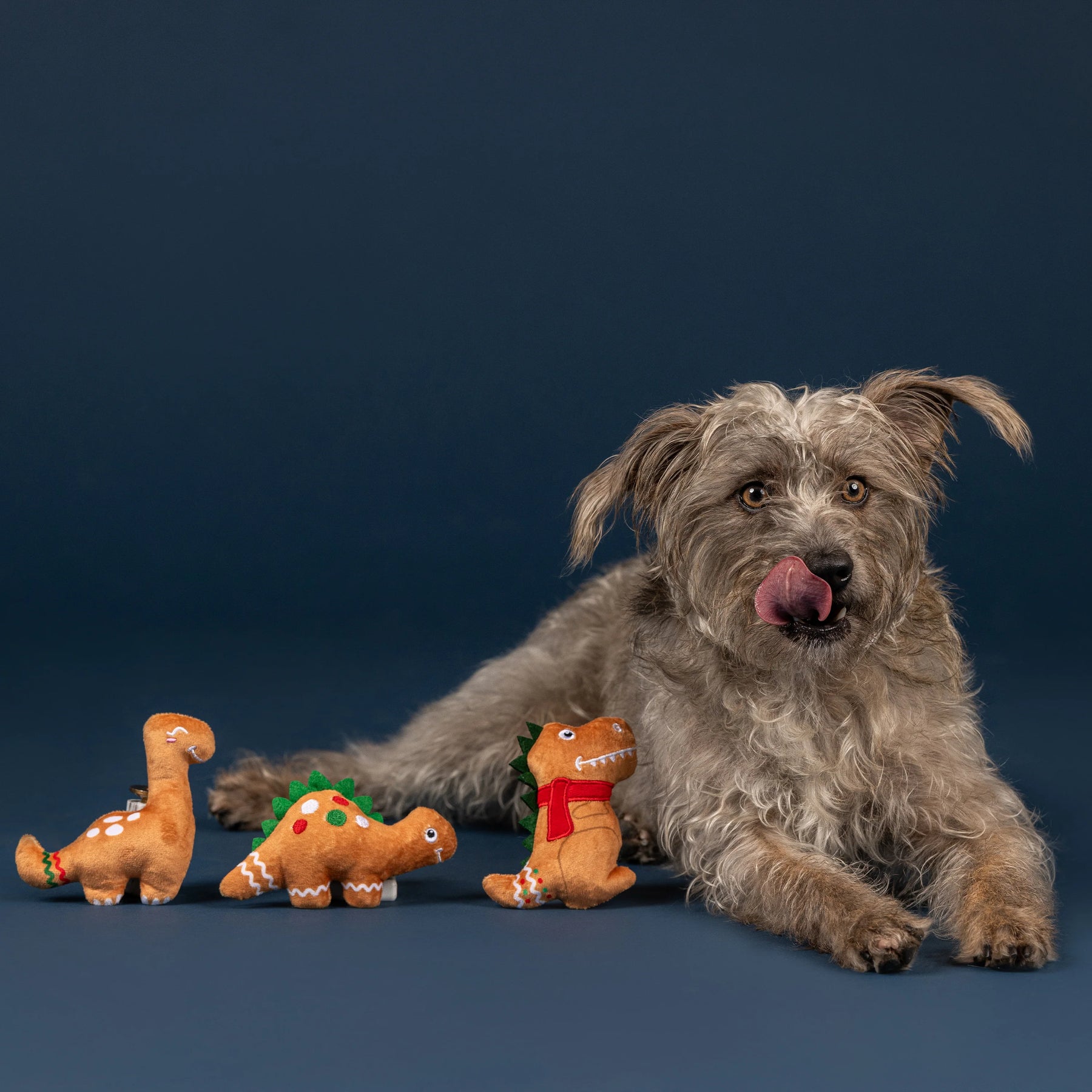 Petshop by Fringe Studio - Dog Toy 3 Pc Set Baking Spirits Bright